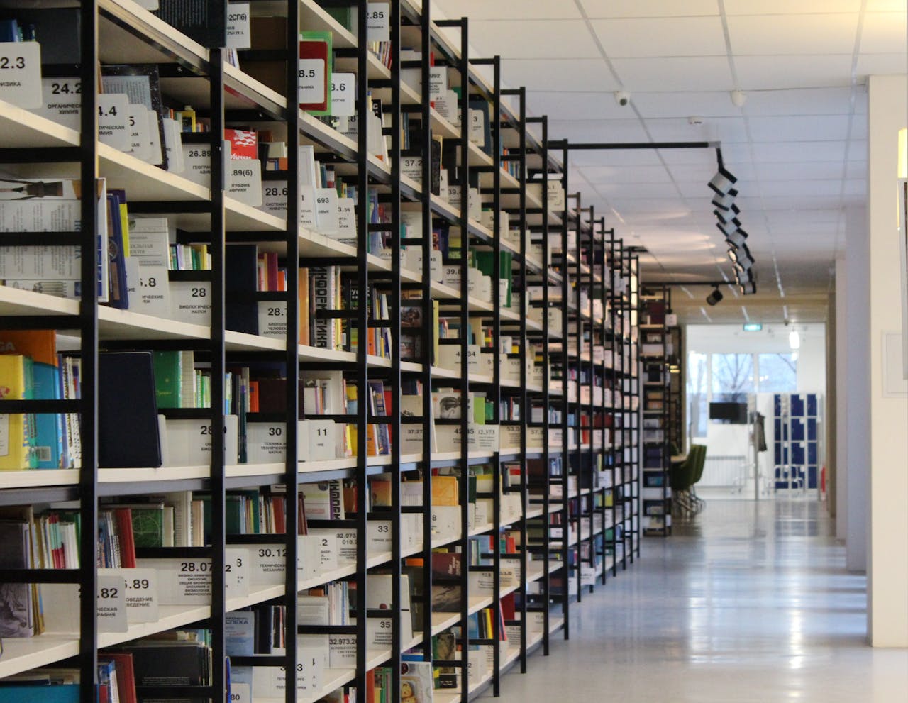 Banner - Bookshelf